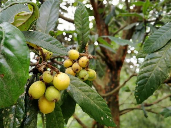 059fdeec0fd74f278246a58148f6f509.jpg 059fdeec0fd74f278246a58148f6f509.jpg