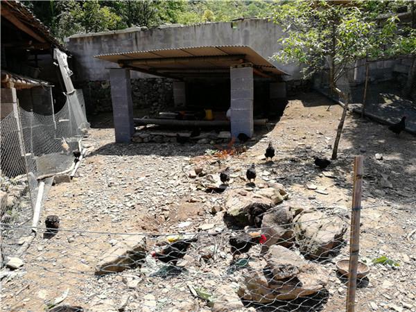 79566ba3131f4f87a527f938bce27cb4.jpg 79566ba3131f4f87a527f938bce27cb4.jpg