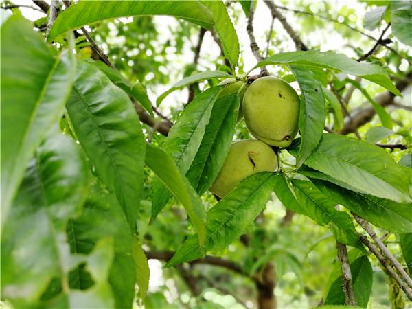 a0b8ff7ba61a4f55b1c97e3676422b06.jpg a0b8ff7ba61a4f55b1c97e3676422b06.jpg