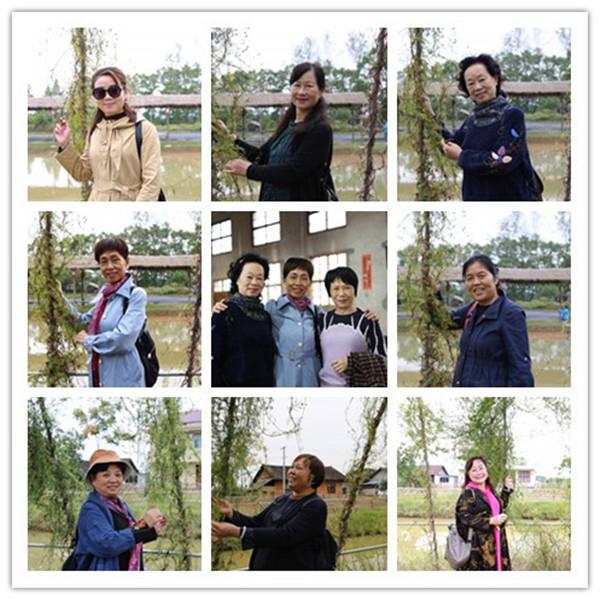 e85e46f044694eda8bdb73c527291a01.jpg e85e46f044694eda8bdb73c527291a01.jpg