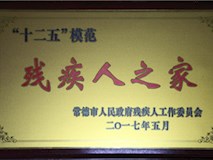 2017年常德市人民政府殘疾人工作委員會授牌