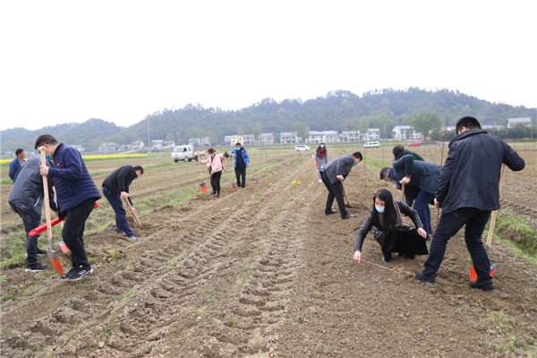 IMG_4292.jpg IMG_4292.jpg