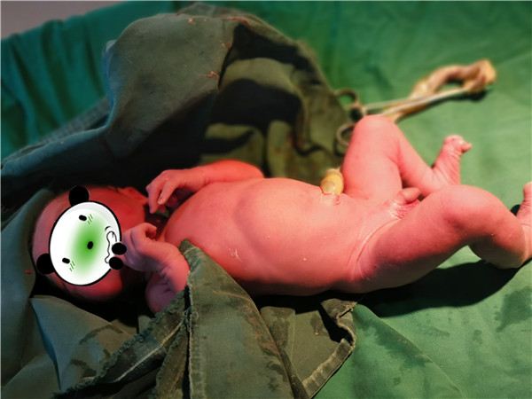 圖片1.jpg 圖片1.jpg