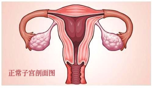 微信圖片_20200324165617.jpg 微信圖片_20200324165617.jpg