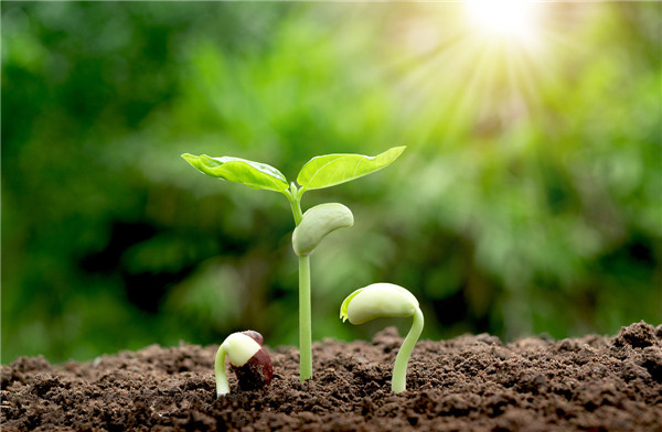 t01cfe01f18d8598f39.jpg t01cfe01f18d8598f39.jpg